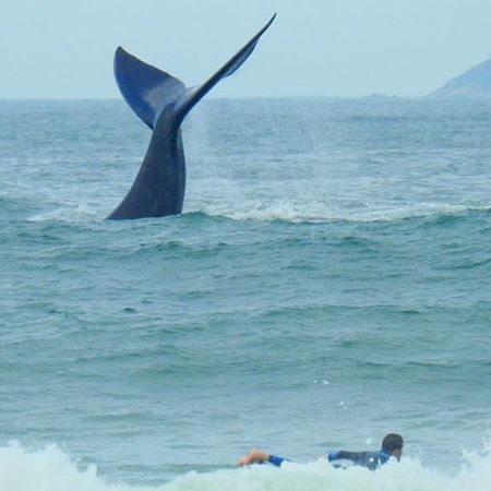 גרופאבה Tranquilidade Na Praia Da Gamboa מראה חיצוני תמונה