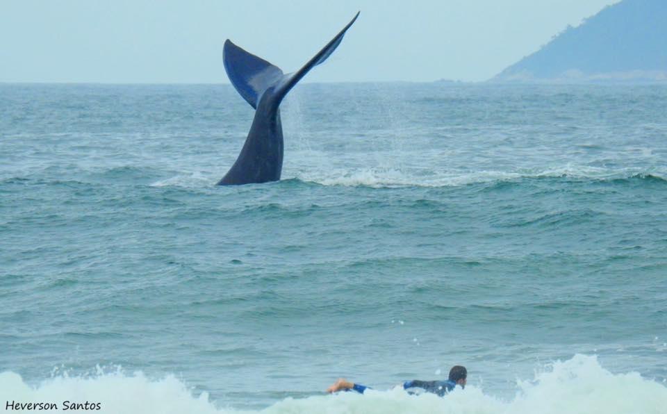 גרופאבה Tranquilidade Na Praia Da Gamboa מראה חיצוני תמונה
